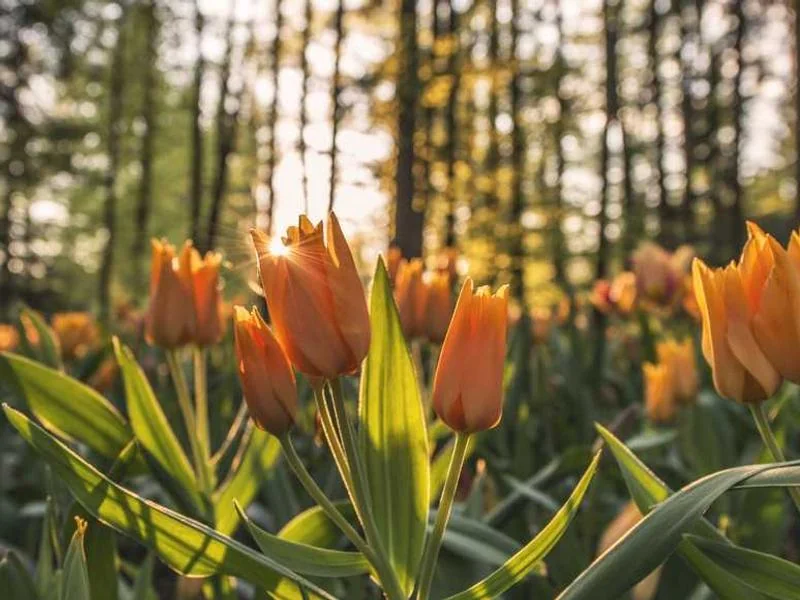 금천구변기오수관막힘뚫는긴급25시업체