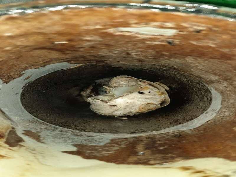 영등포구 가을 우수관 막힘, 낙엽철 빗물받이 관리 요령