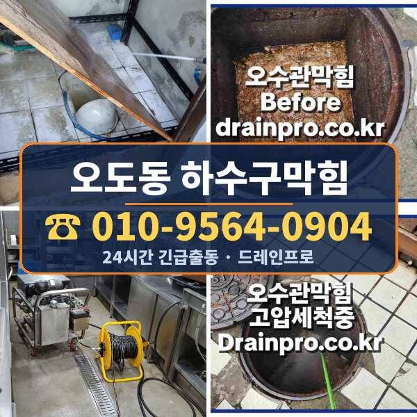 오도동 하수구막힘